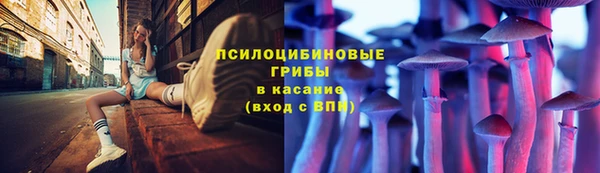 мяу мяу мука Кинешма