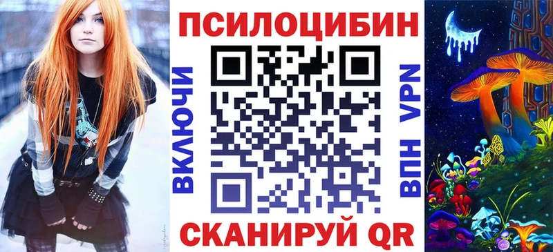 Купить закладки  Красный Кут  Галлюциногенные грибы GOLDEN TEACHER 