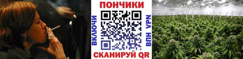 Купить закладки  Красный Кут  Канабис Bruce Banner 